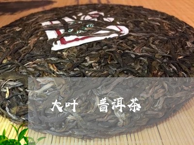 大叶 普洱茶/2023042994125